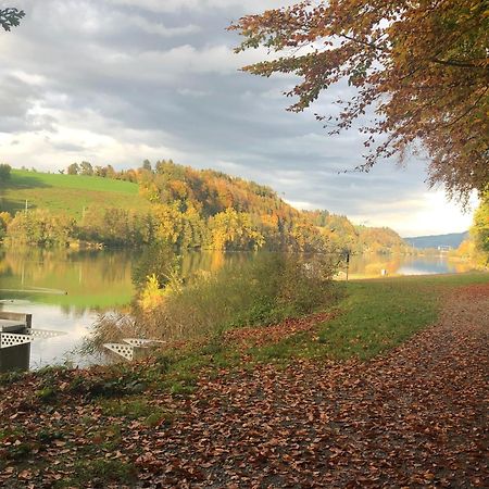 Charming Studio Near Rotsee Lucerne Kitchen/Wifi/Wasching Machine Екстер'єр фото