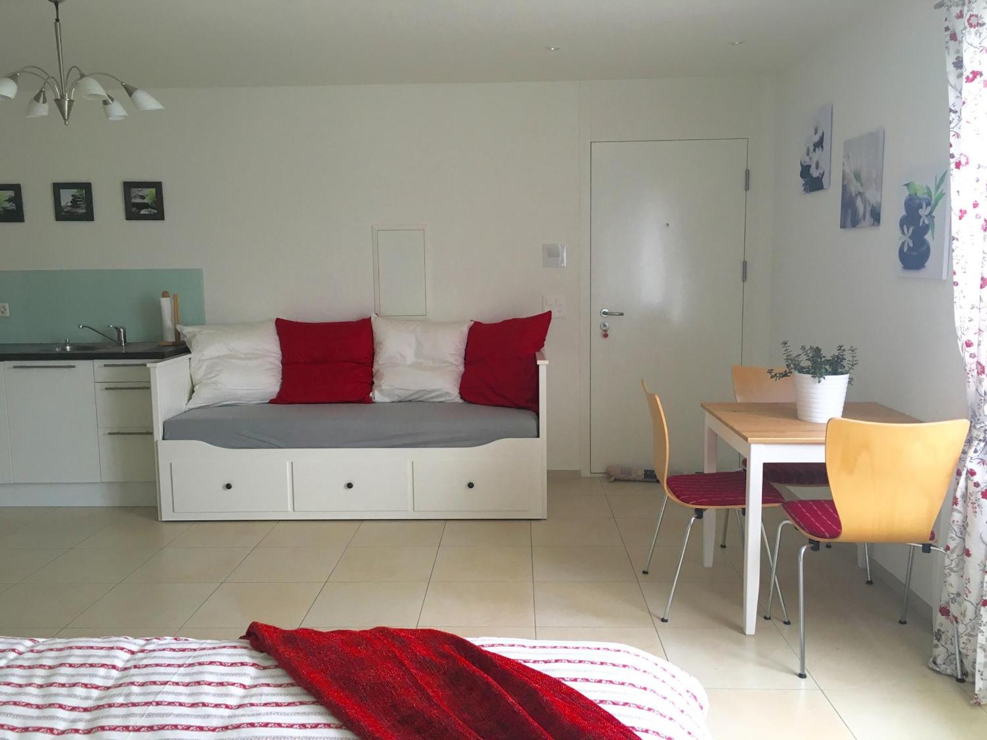 Charming Studio Near Rotsee Lucerne Kitchen/Wifi/Wasching Machine Екстер'єр фото