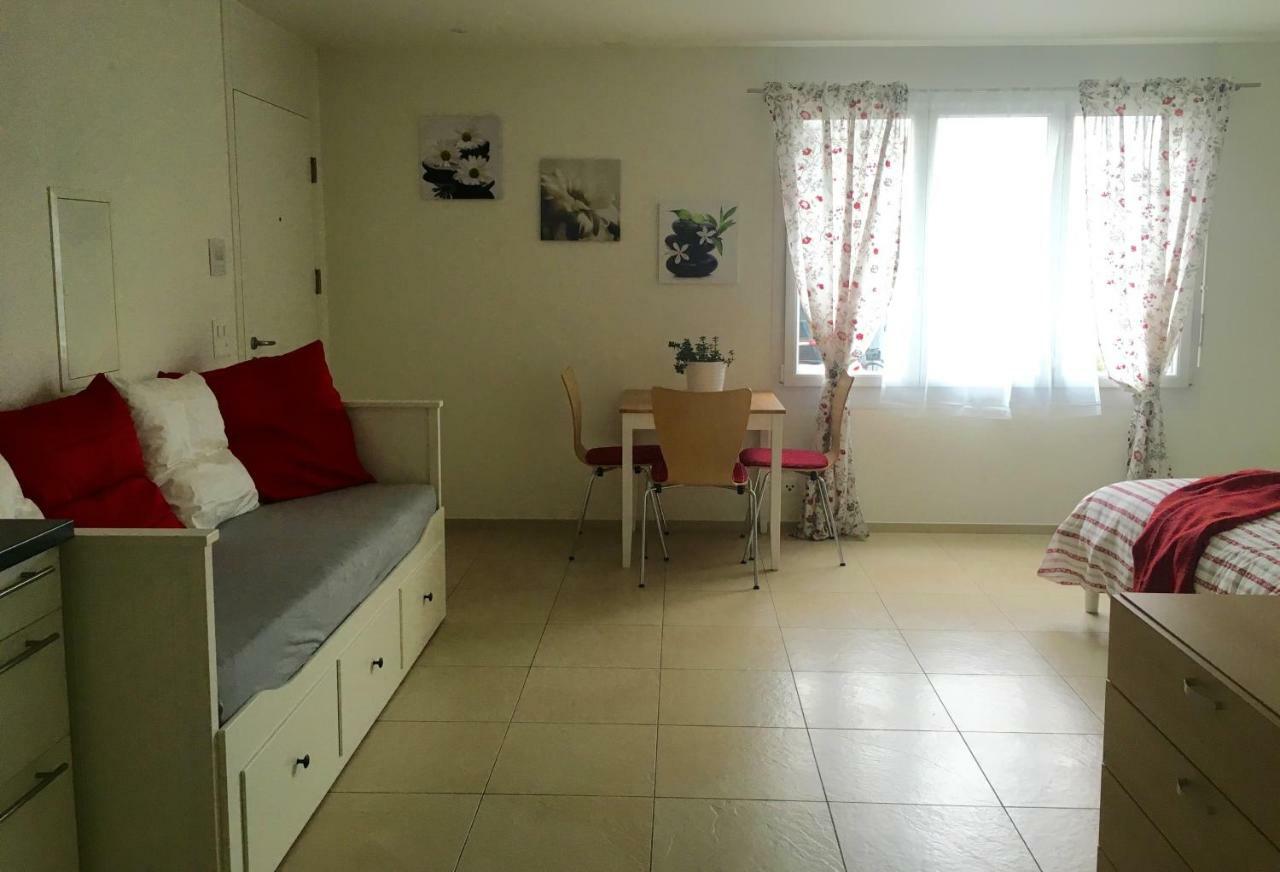Charming Studio Near Rotsee Lucerne Kitchen/Wifi/Wasching Machine Екстер'єр фото