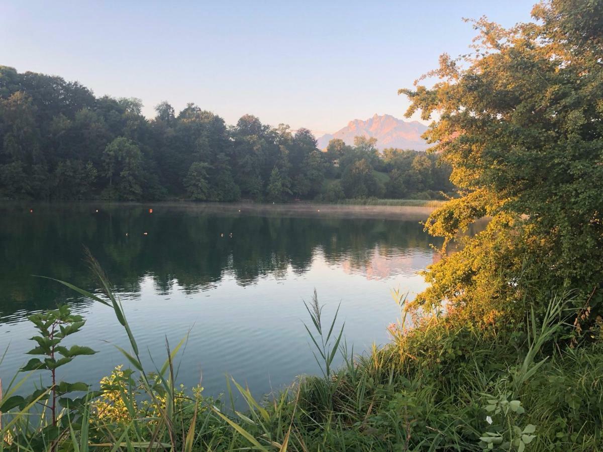 Charming Studio Near Rotsee Lucerne Kitchen/Wifi/Wasching Machine Екстер'єр фото